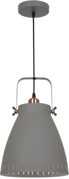 Изображение товара Потолочный светильник Camelion PL-428L С73 / 13073 (серый+медь)