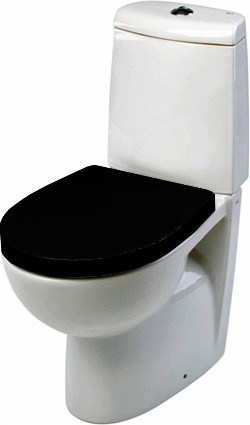 Изображение товара Сиденье для унитаза Roca Victoria Nord ZRU9302627 (черное)