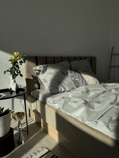 Изображение товара Наволочка Samsara Перья 7070Н-11