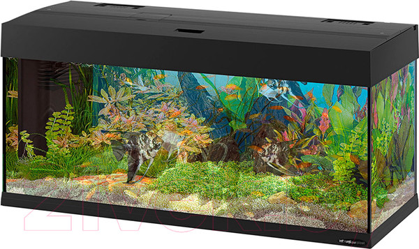 Изображение товара Аквариум Ferplast Dubai 100 Led / 65036117 (черный)