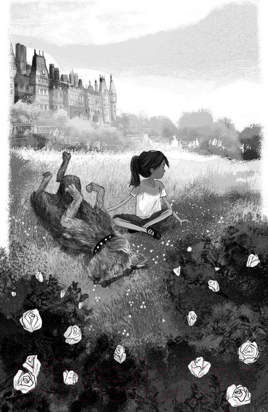 Изображение товара Книга Эксмо Утраченное сокровище (Вебб Х.)