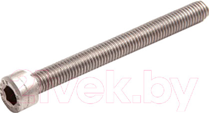 Изображение товара Винт ЕКТ С цилиндр. головкой и внутр. шестигр. 12x100 DIN912 / 5724335 (25шт, нержавеющая сталь)