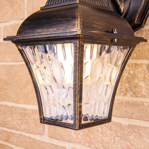 Изображение товара Бра уличное Elektrostandard Apus D GL 1009D (черное золото)