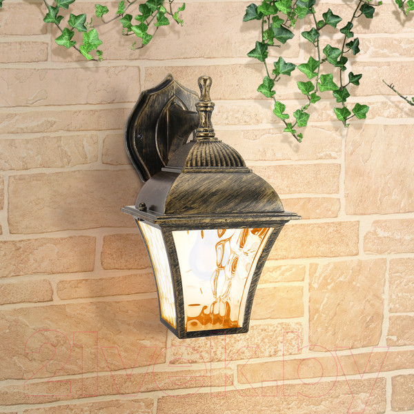 Изображение товара Бра уличное Elektrostandard Apus D GL 1009D (черное золото)