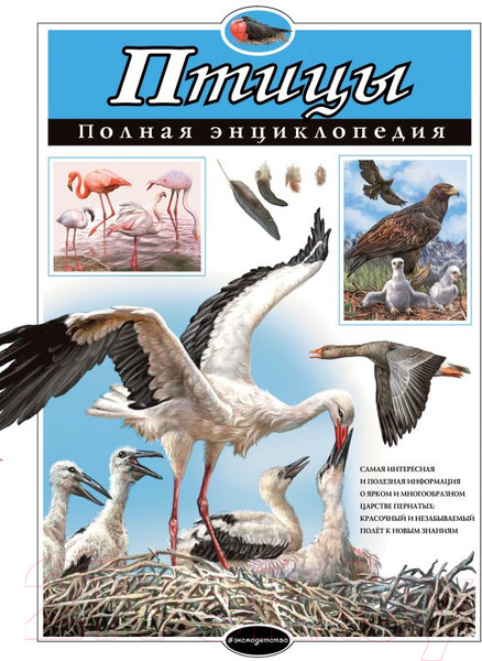 Изображение товара Энциклопедия Эксмо Птицы. Полная энциклопедия (Школьник Ю.)