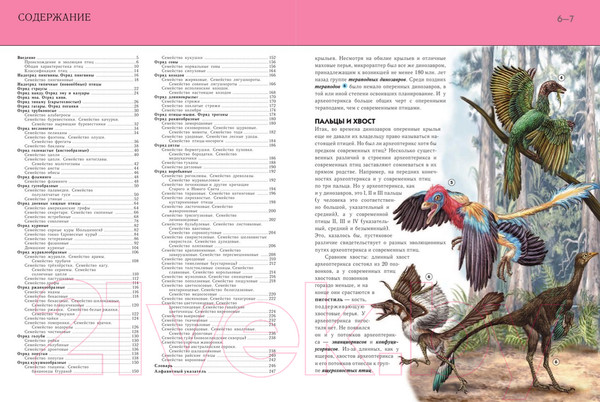 Изображение товара Энциклопедия Эксмо Птицы. Полная энциклопедия (Школьник Ю.)