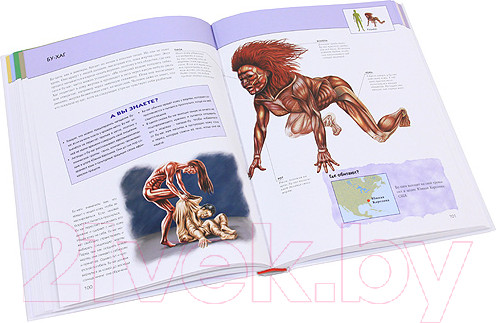 Изображение товара Энциклопедия Эксмо Фантастические существа. Полная энциклопедия