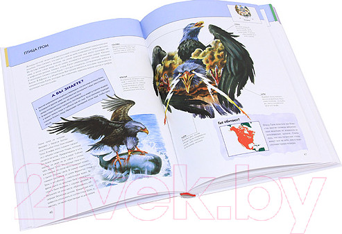 Изображение товара Энциклопедия Эксмо Фантастические существа. Полная энциклопедия