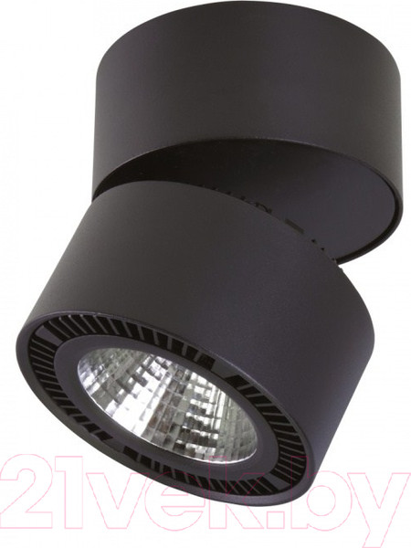 Изображение товара Точечный светильник Lightstar Forte Muro 213837