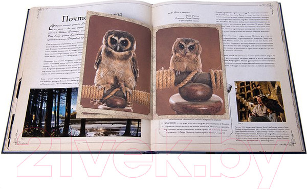 Изображение товара Книга Росмэн Гарри Поттер. Фантастические существа (Ревенсон Дж.)