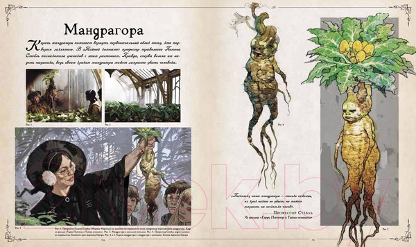 Изображение товара Книга Росмэн Гарри Поттер. Фантастические существа (Ревенсон Дж.)