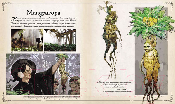 Изображение товара Книга Росмэн Гарри Поттер. Фантастические существа (Ревенсон Дж.)