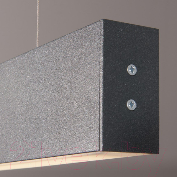 Изображение товара Потолочный светильник Elektrostandard 101-200-30-128 25W 6500K (черная шагрень)