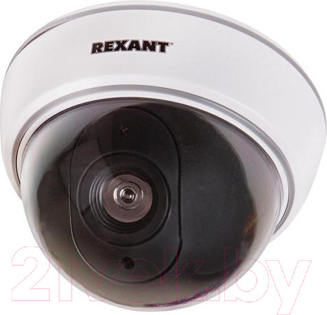 Изображение товара Муляж камеры Rexant 45-0210 (белый)