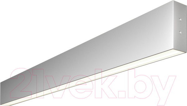 Изображение товара Подсветка для картин и зеркал Elektrostandard 101-100-40-78 30W 4200K (матовое серебро)