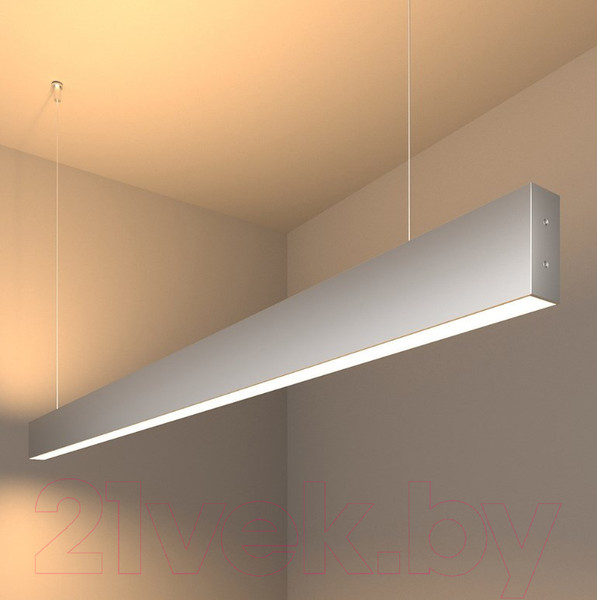 Изображение товара Потолочный светильник Elektrostandard 101-200-40-128 50W 3000K (матовое серебро)