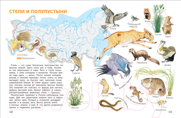Изображение товара Энциклопедия Росмэн Мир и человек. Мой любимый географический атлас (Гальцева С.)