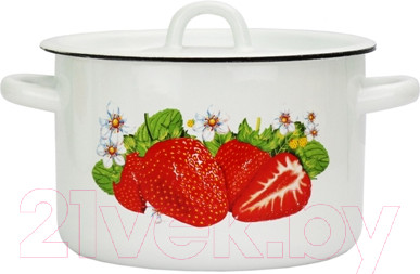 Изображение товара Кастрюля Эмаль 01-1612/4М (3л)