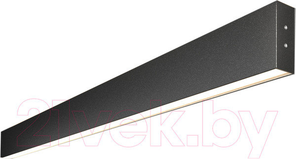 Изображение товара Подсветка для картин и зеркал Elektrostandard 101-100-40-103 40W 4200K (черная шагрень)