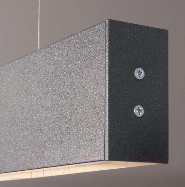 Изображение товара Потолочный светильник Elektrostandard 101-200-40-103 40W 4200K (черная шагрень)