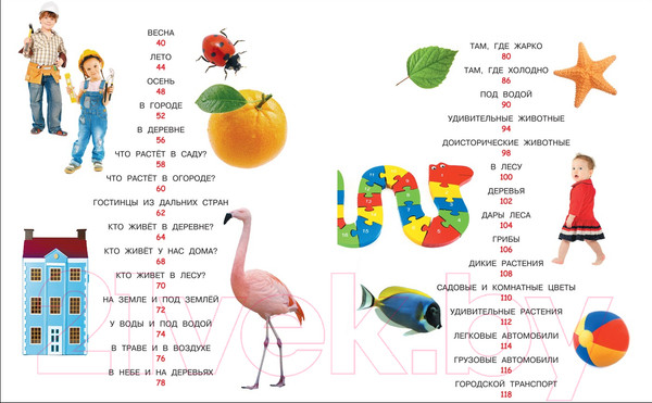 Изображение товара Развивающая книга Росмэн Моя первая книга