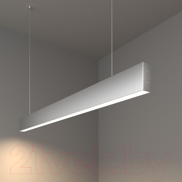 Изображение товара Потолочный светильник Elektrostandard 101-200-30-128 25W 4200K (матовое серебро)