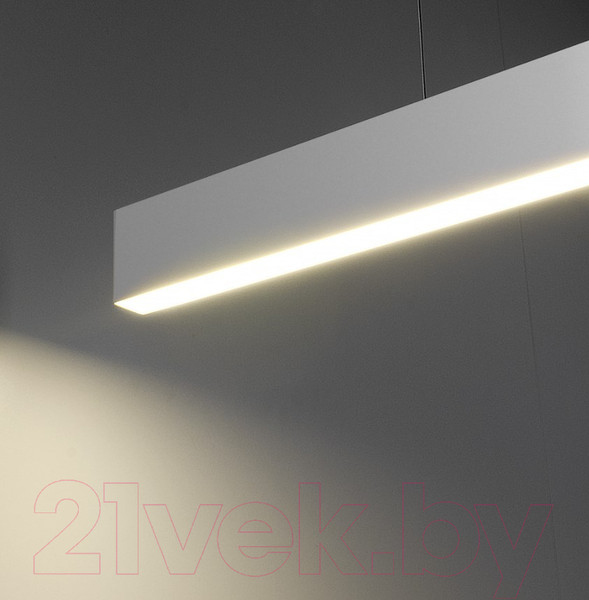 Изображение товара Потолочный светильник Elektrostandard 101-200-30-128 25W 4200K (матовое серебро)