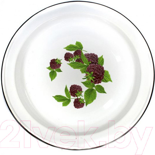 Изображение товара Блюдо СтальЭмаль С0810.Д