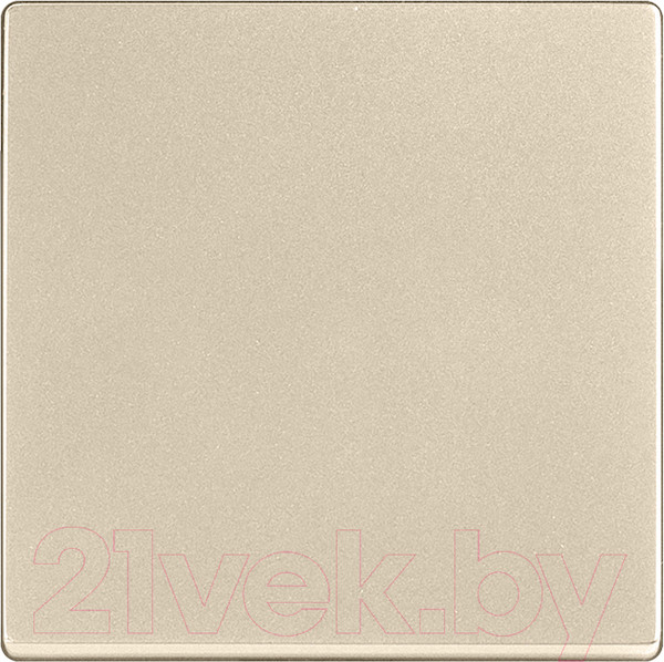 Изображение товара Клавиша для выключателя Werkel WL11-SW-1G-C-CP / a040918 (шампань)