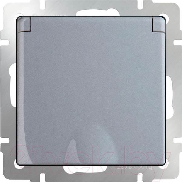 Изображение товара Розетка Werkel WL06-SKGSC-01-IP44 / a029832 (серебристый)