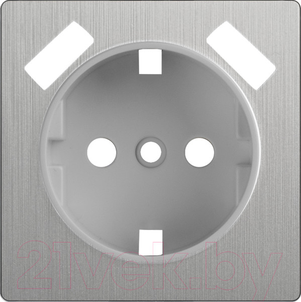 Изображение товара Лицевая панель Werkel WL09-USB-CP / a037011 (cеребряный рифленый)