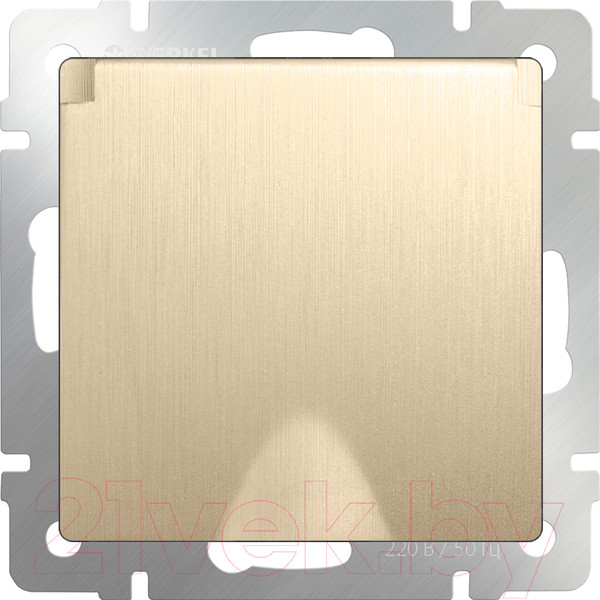 Изображение товара Розетка Werkel WL10-SKGSC-01-IP44 / a035621 (шампань рифленый)