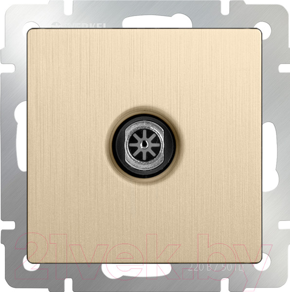 Изображение товара Розетка Werkel WL10-TV / a035633 (шампань рифленый)