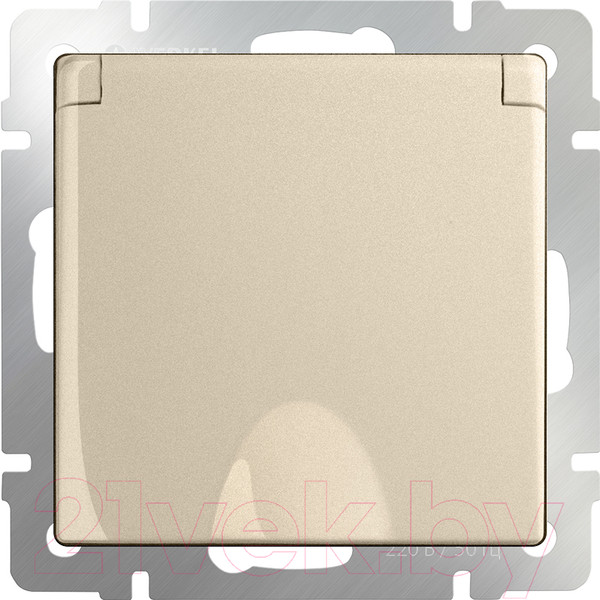 Изображение товара Розетка Werkel WL11-SKGSC-01-IP44 / a040914 (шампань)