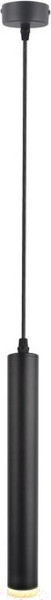 Изображение товара Потолочный светильник Arte Lamp Hubble Pendant A6810SP-1BK