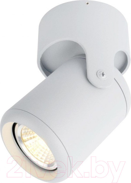 Изображение товара Спот Arte Lamp Libra A3316PL-1WH