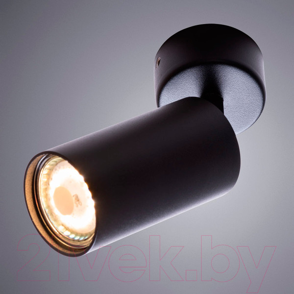 Изображение товара Спот Arte Lamp Aquarius A3216PL-1BK