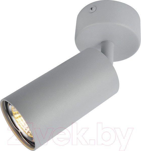 Изображение товара Спот Arte Lamp Aquarius A3216PL-1GY