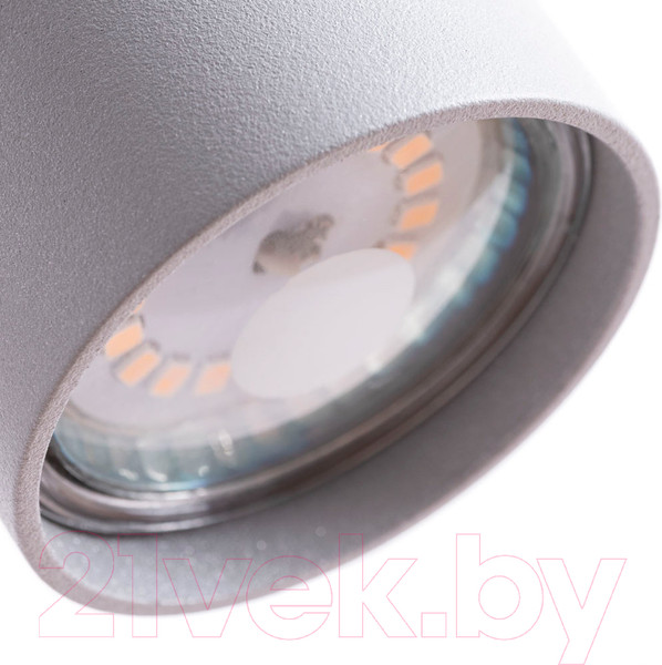 Изображение товара Спот Arte Lamp Aquarius A3216PL-1GY