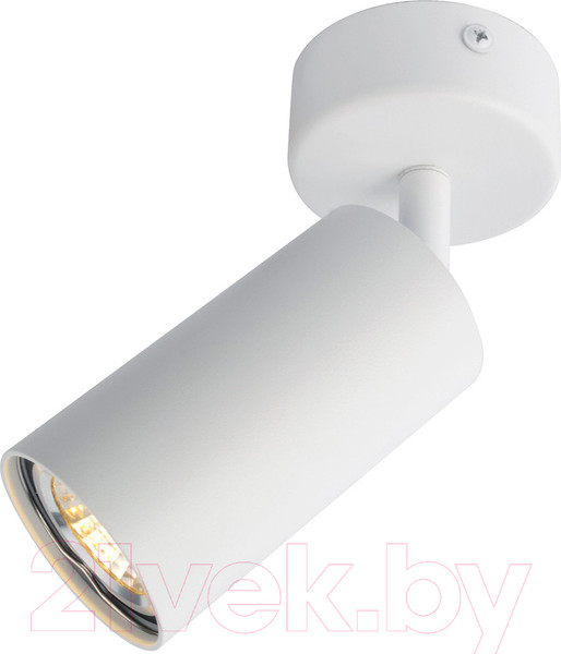 Изображение товара Спот Arte Lamp Aquarius A3216PL-1WH
