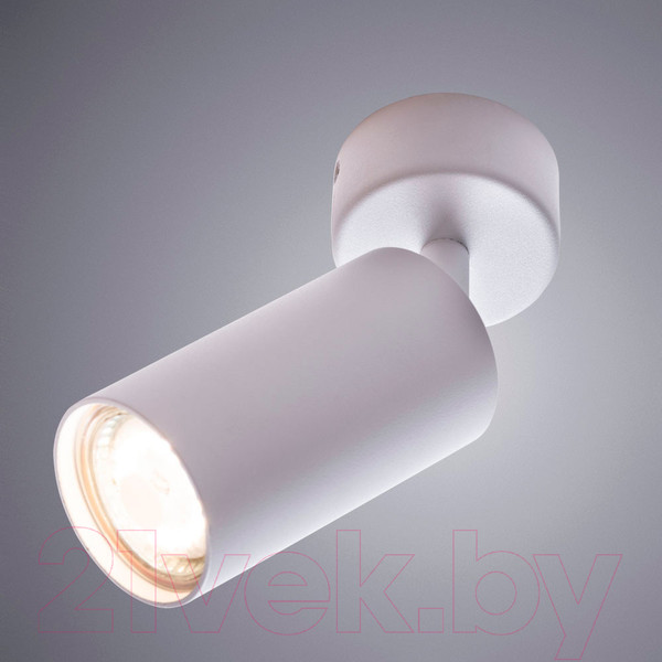 Изображение товара Спот Arte Lamp Aquarius A3216PL-1WH