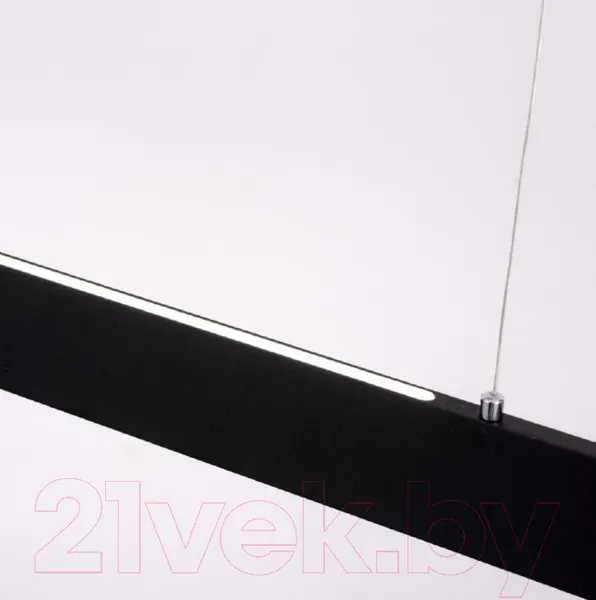 Изображение товара Потолочный светильник Arte Lamp Largo A2505SP-2BK