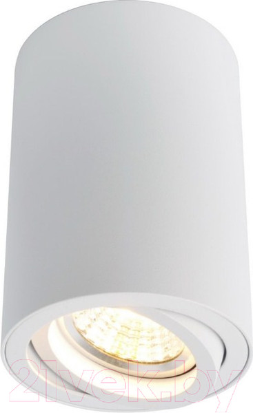 Изображение товара Точечный светильник Arte Lamp Sentry A1560PL-1WH