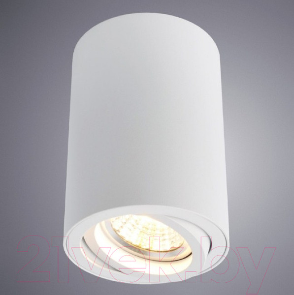 Изображение товара Точечный светильник Arte Lamp Sentry A1560PL-1WH