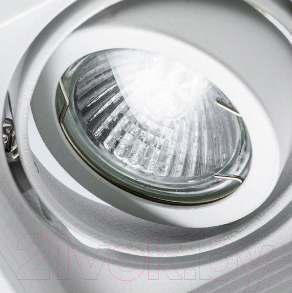 Изображение товара Точечный светильник Arte Lamp Canis A6661PL-1WH