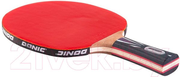 Изображение товара Ракетка для настольного тенниса Donic Schildkrot Top Team 800