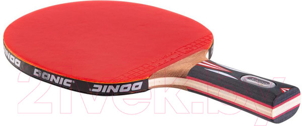 Изображение товара Ракетка для настольного тенниса Donic Schildkrot Top Team 900