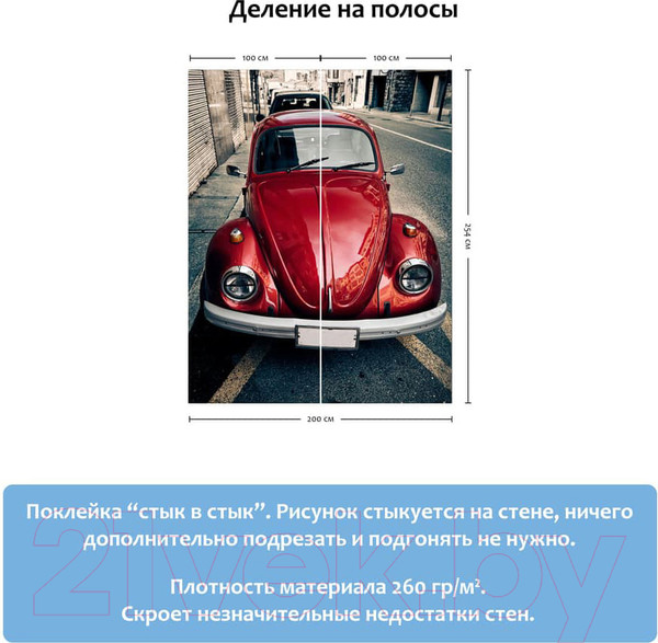 Изображение товара Фотообои листовые Citydecor Жук (200x254)