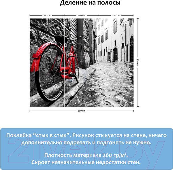 Изображение товара Фотообои листовые Citydecor Красный велосипед (300x254)