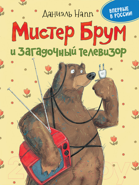 Изображение товара Книга Росмэн Мистер Брум и загадочный телевизор (Напп Д.)